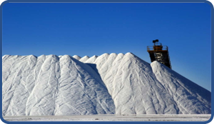 salt-bulk-loads